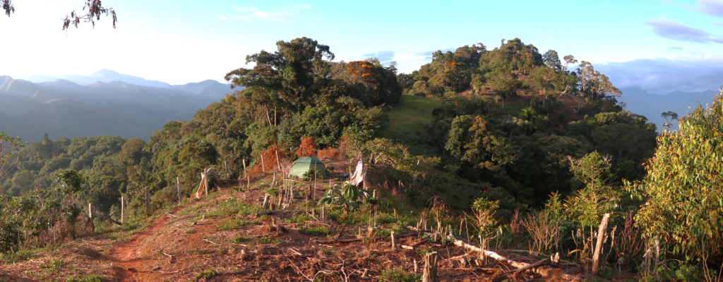 Hannan Metals identifica nueva zona de pórfido de cobre y oro de alta ...
