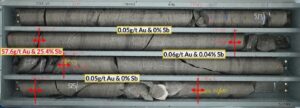 Alkane Resources anuncia importantes avances en su proyecto True Blue con intersecciones de alta ley de oro y antimonio